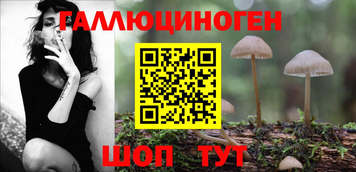 Тулун  Галлюциногенные грибы MAGIC MUSHROOMS  Вход с VPN 